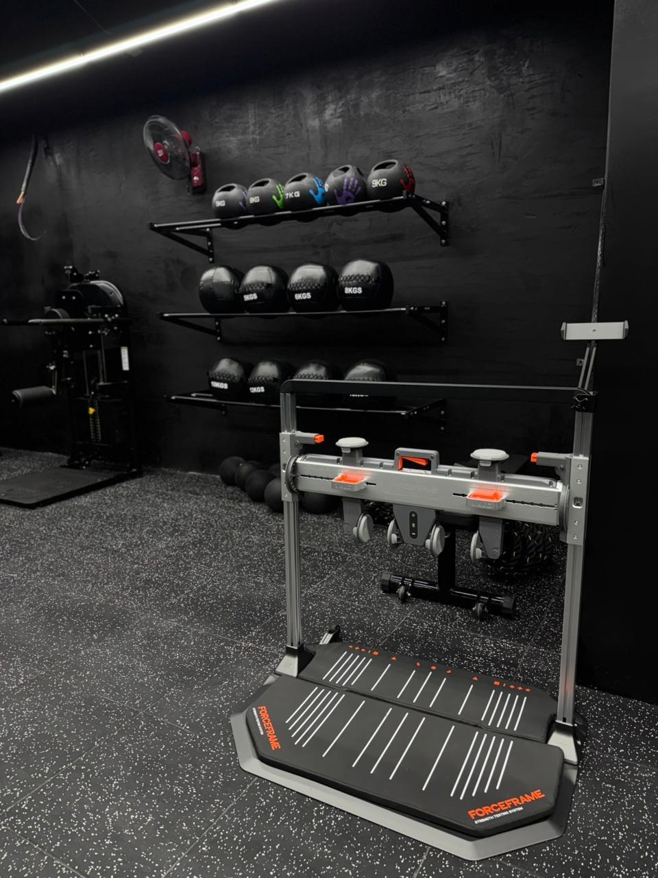 MPL dumbbell and medicine ball rack